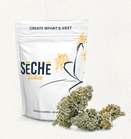 30% Off Lab, Nira+, Bank, Flower Foundry, Seche & Hijinks